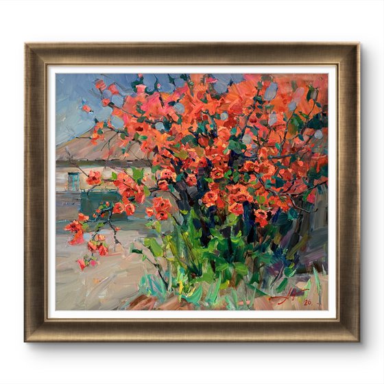 Quince in Bloom