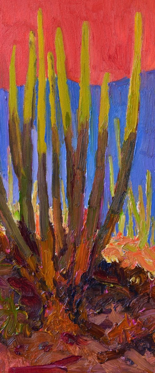 Evening Light. Cactuses by Suren Nersisyan