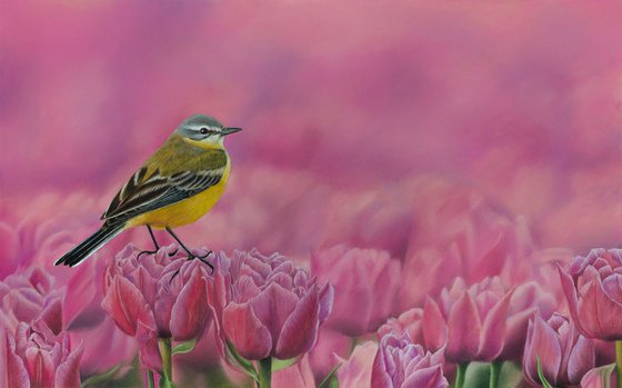 Original pastel drawing "Yellow wagtail"