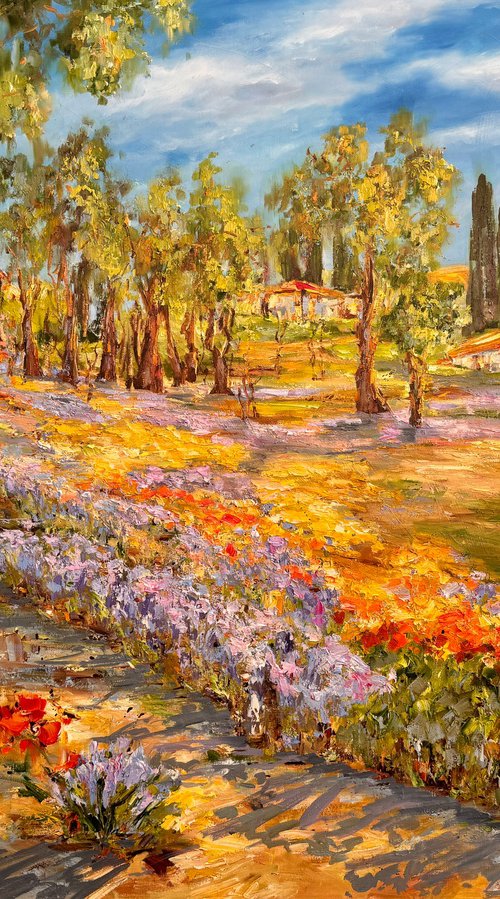 Printemps en Provence by Diana Malivani