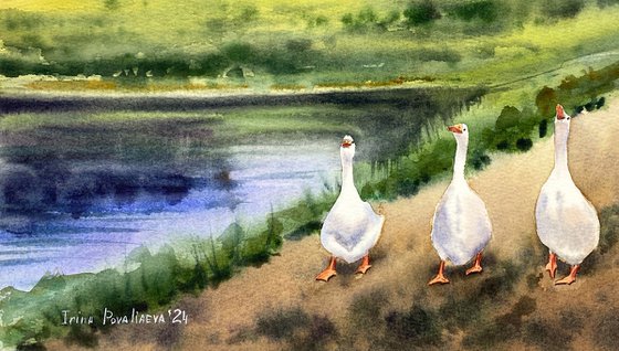 Geese on the Country Path