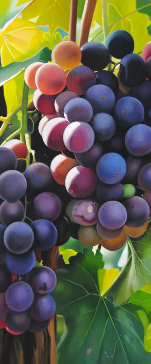 Grapes by Valeri Tsvetkov