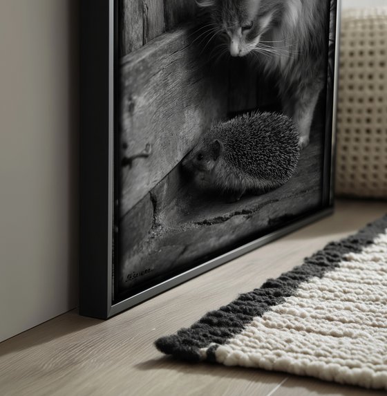 Cat in village B0805N