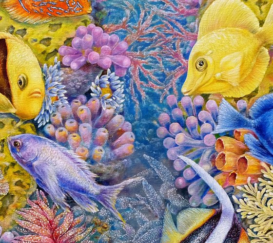 The Red Sea Reefs