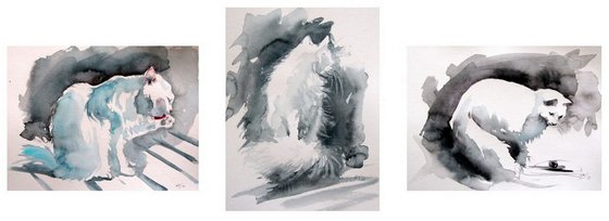 White cats collection