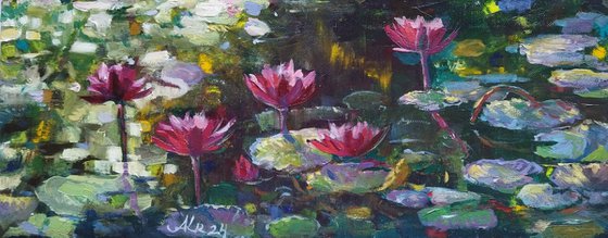 Water Lilies