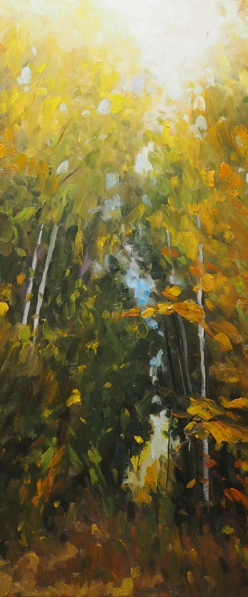 Autumn colors by Yuanyuan Liu