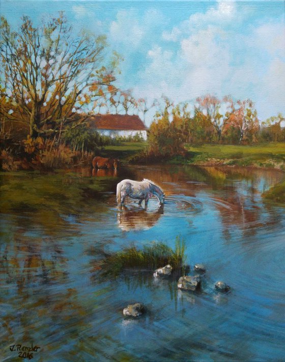 Horses by the river bank