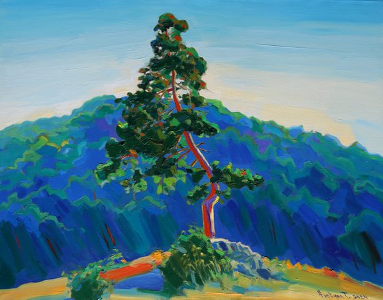 Lonely tree