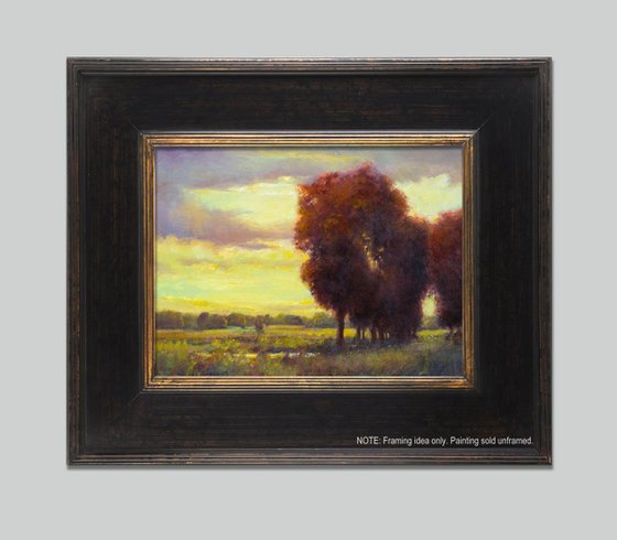 Afternoon Light, 12x16 inches