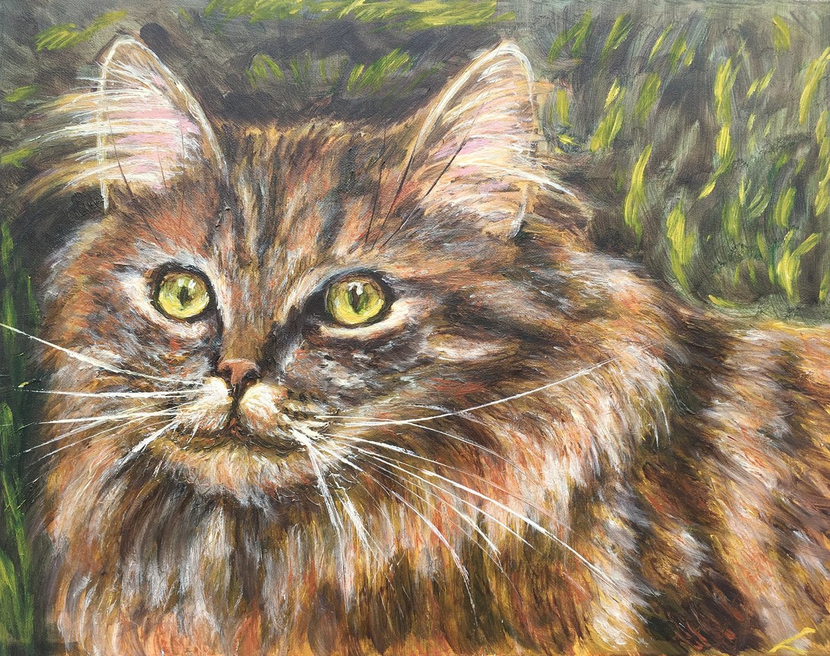 Impressionistic Animal Oil Painting By Elena Sokolova, 20 X 16, Cat, Original Artwork