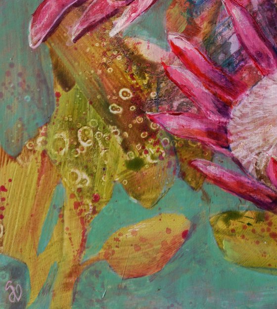 Protea Symphony I.
