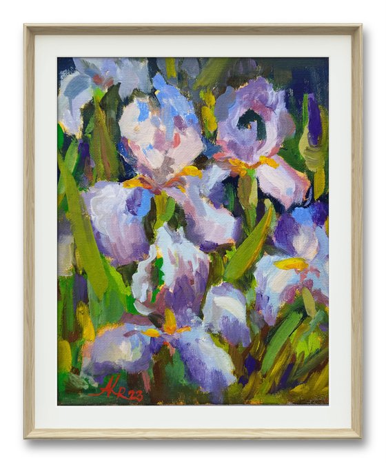 Irises