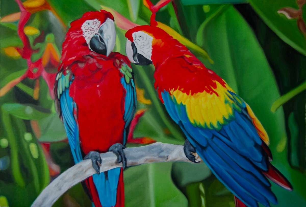 Photorealistic Oil Painting , Parrots By Simona Tsvetkova, 24 X 16, Artwork For Sale On Artfinder