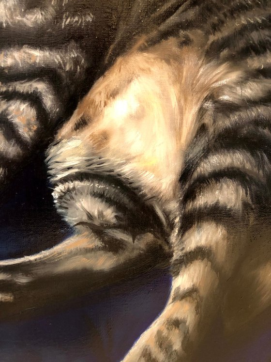 Intense Curiosity - Oil Cat Portrait