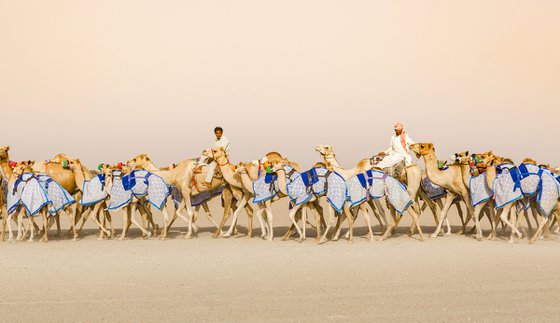 The Blue Caravan
