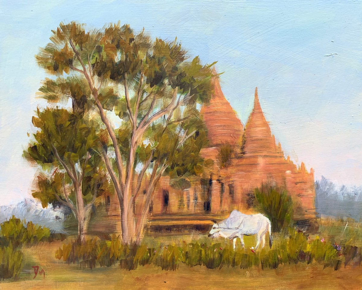 Morning in Bagan by Shelly Du