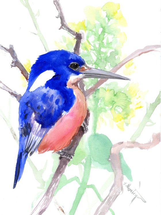 Azure Kingfisher