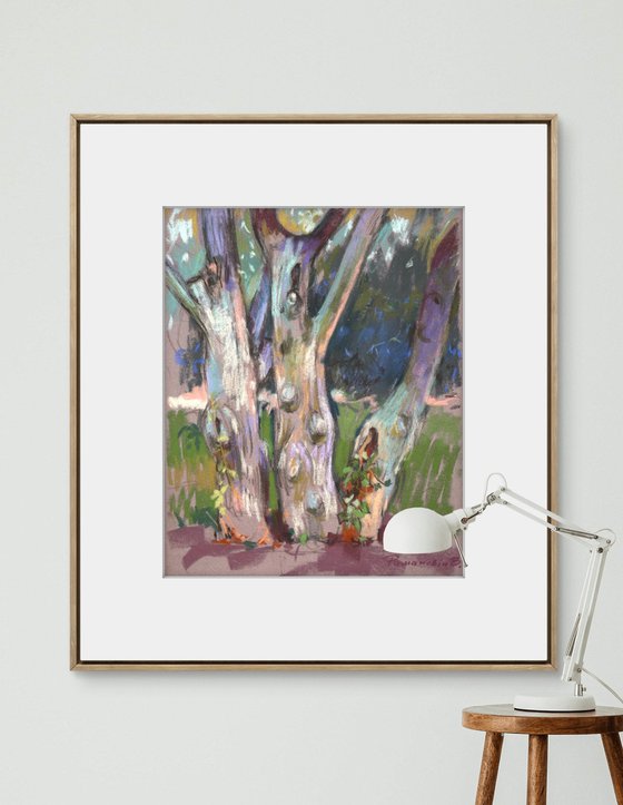 Through a Prism of Colors