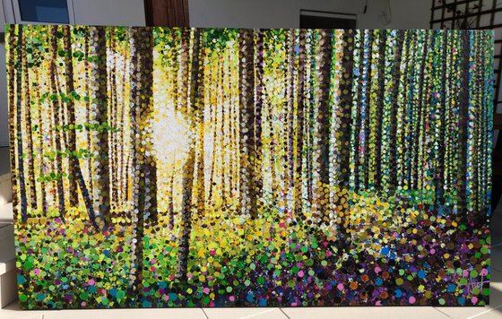 Hope's Dawn - Forest Landscape