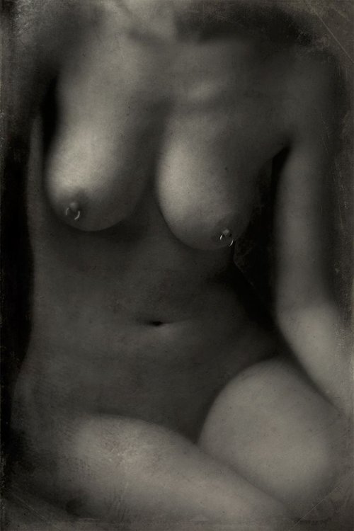 Intimate Series - Seated Nude #6877 by Robert Tolchin