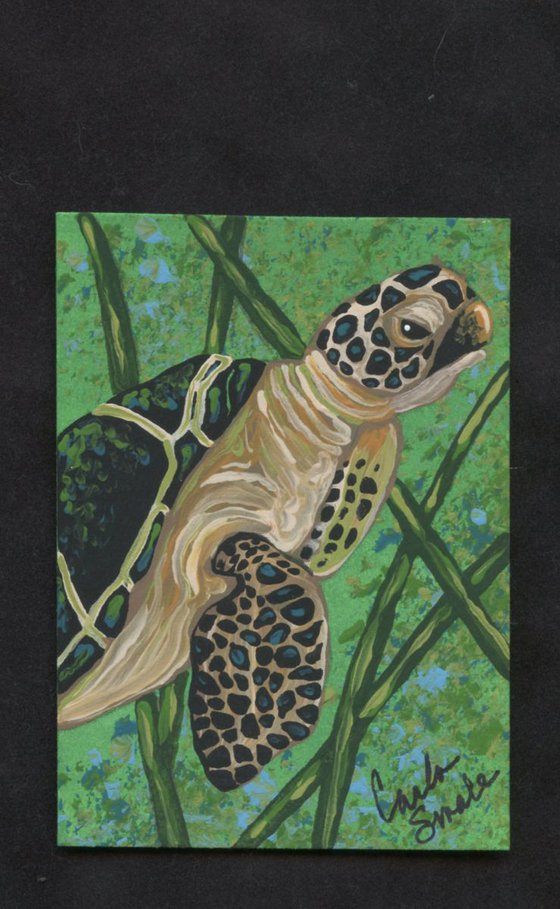 ACEO ATC Original Painting Wildlife Sea Turtle Ocean Art-Carla Smale