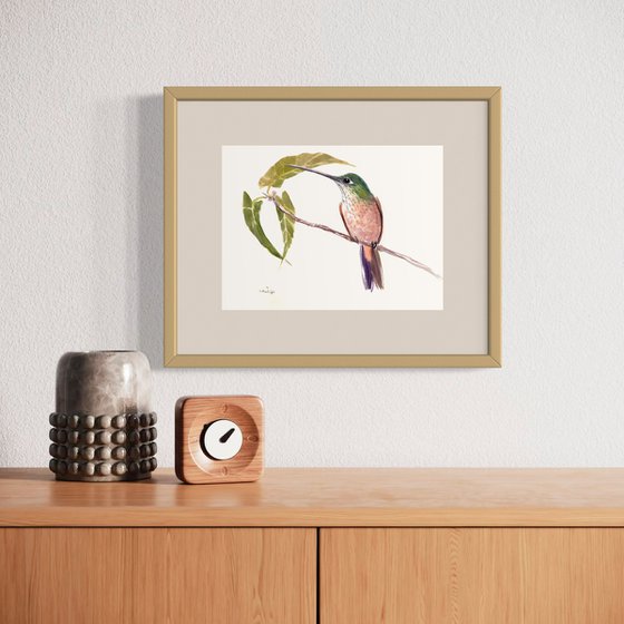 Hummingbird on the Tree