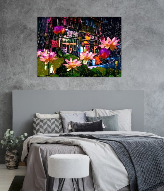Lotuses in the Rain