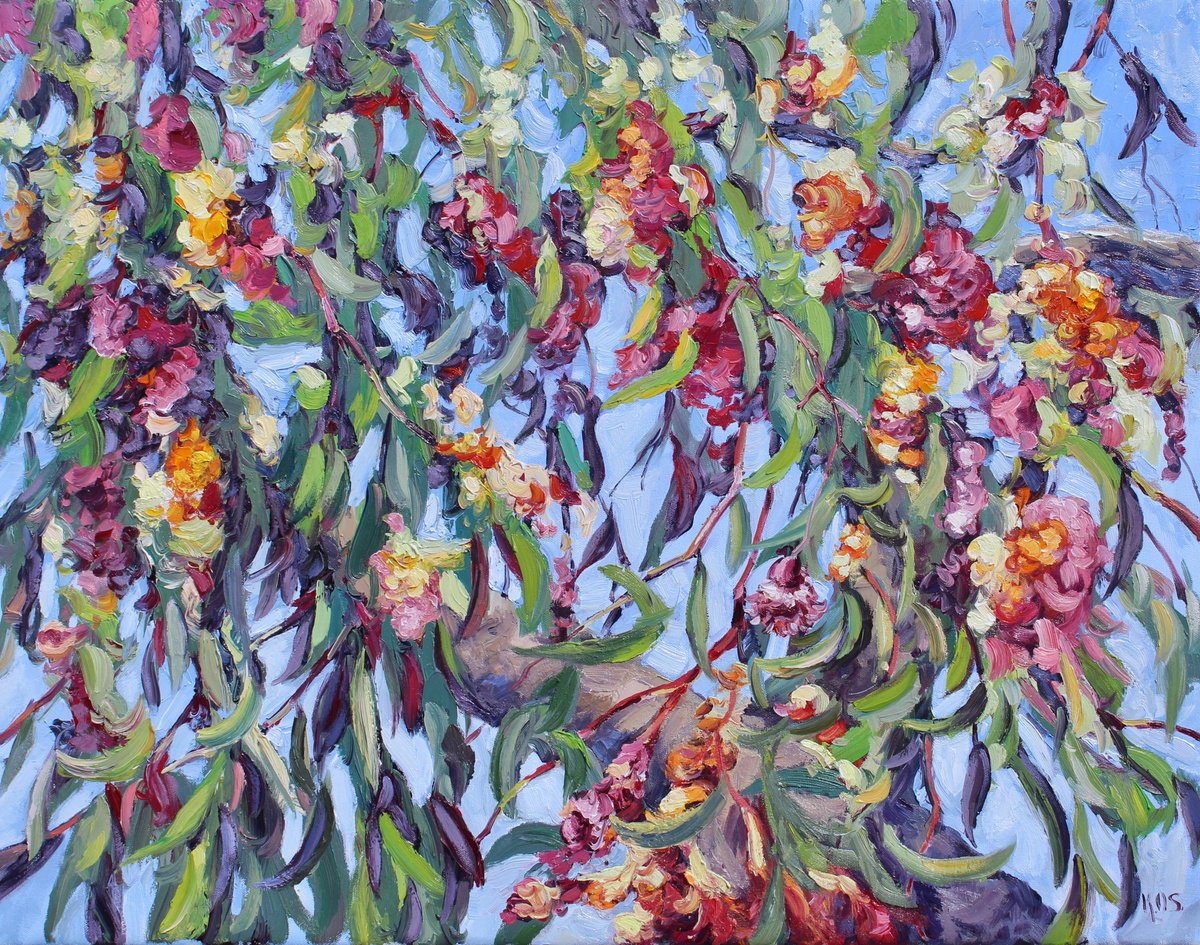 Gum Tree Blossoms by Kristen Olson Stone