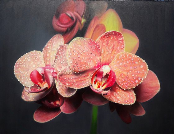 Orange orchid Hyperrealism of orange flowers. Flowers with drops of dew on the petals. Realistic painting of orchids.