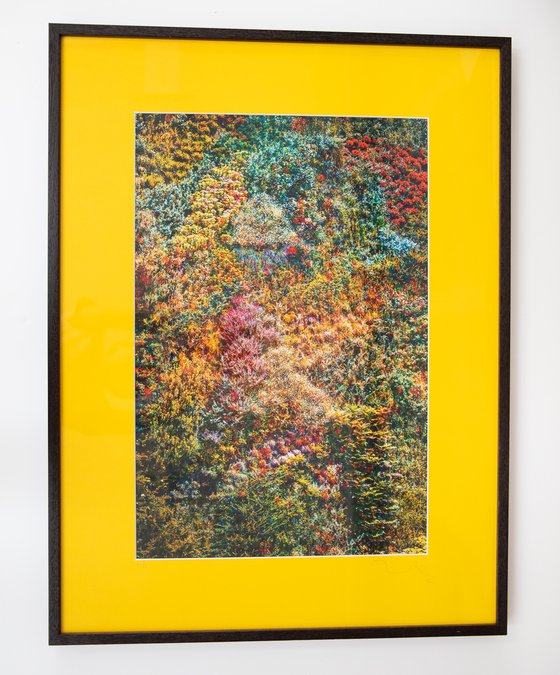 Wall of Nature I (Framed)