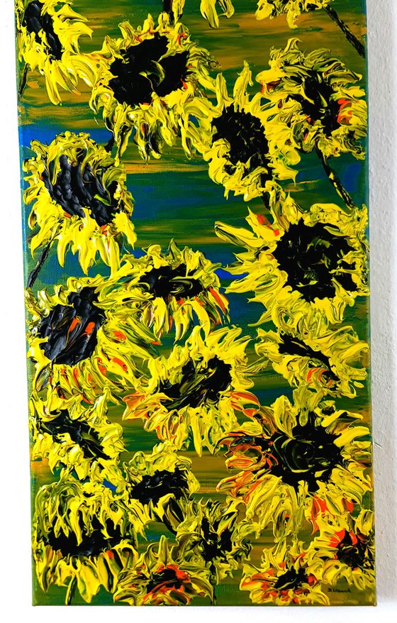 Blooming sunflowers