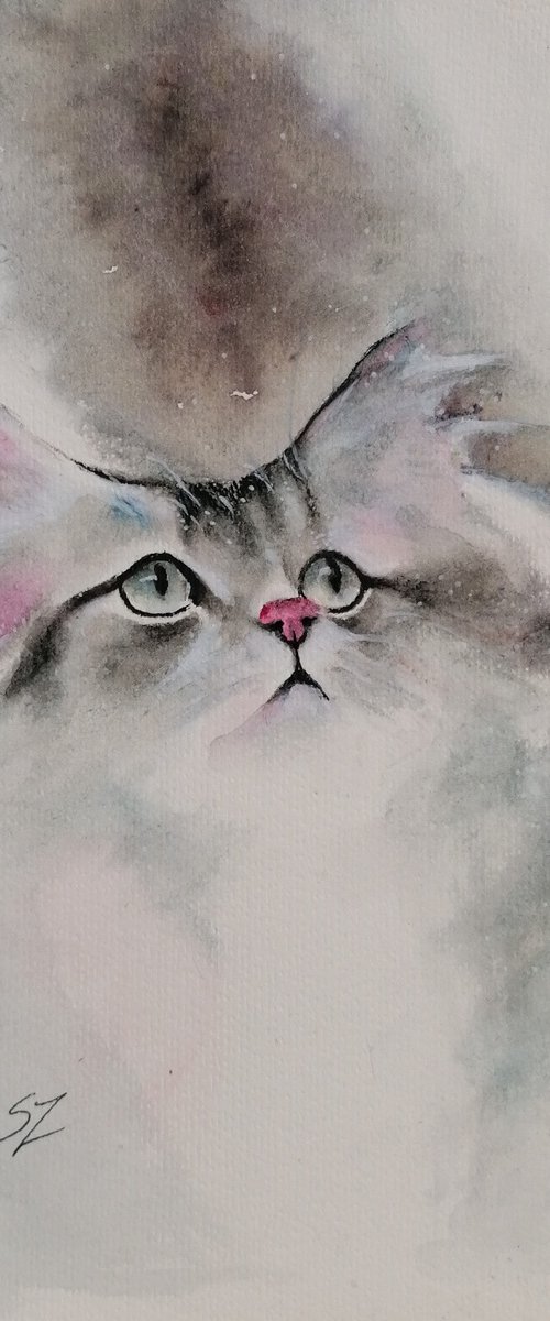 A Cat in Winter by Susana Z. Harris