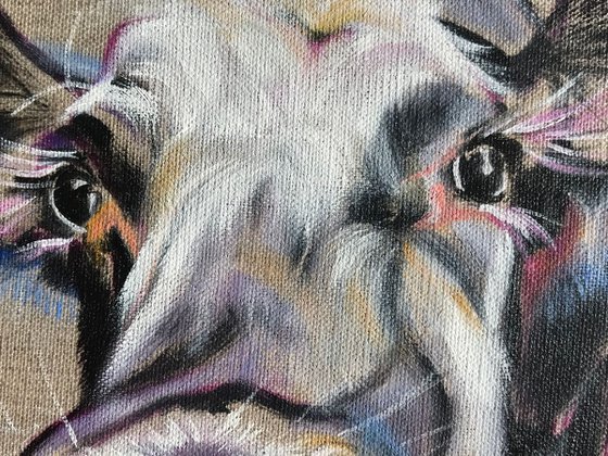 Tasty - White cow original oil painting