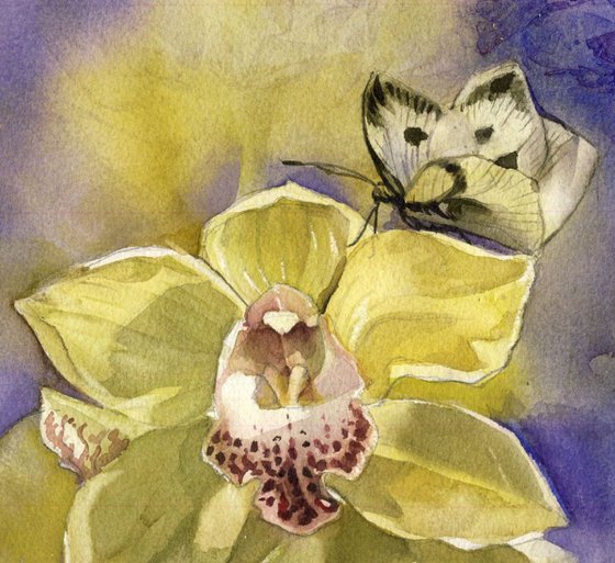 Cymbidium orchid with butterfly