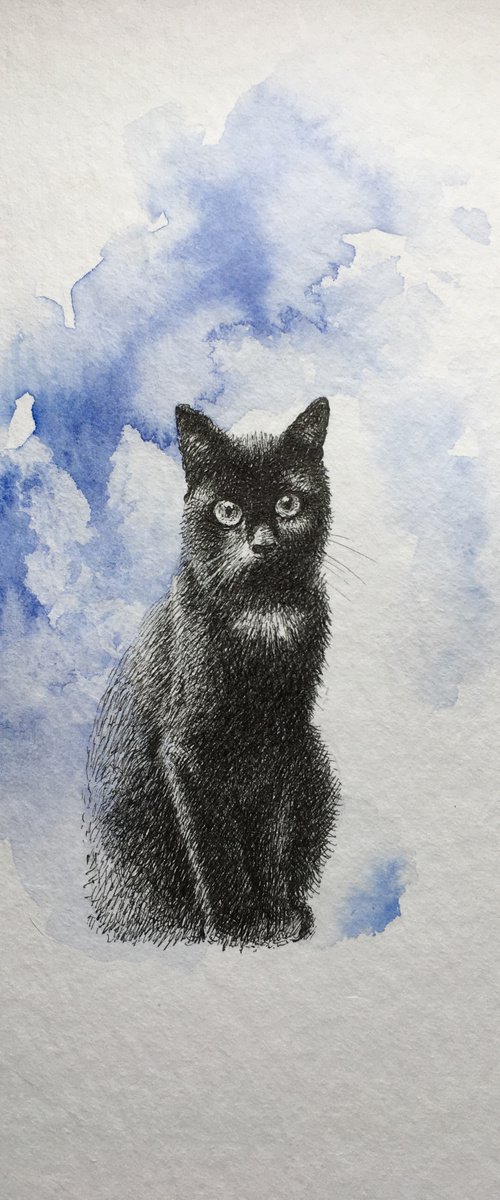 черный кот-1 by Alice Fly
