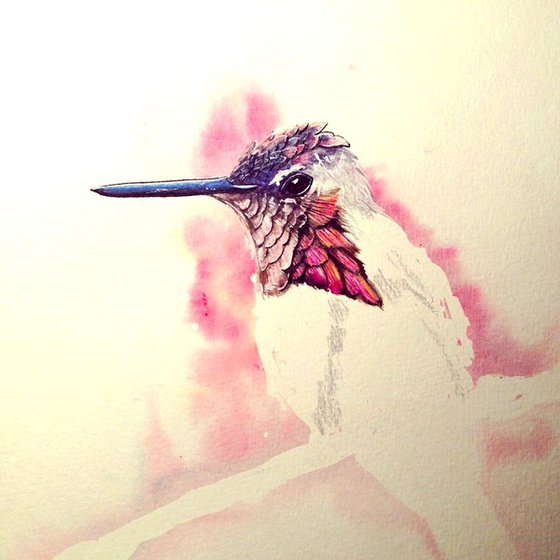 Hummingbird