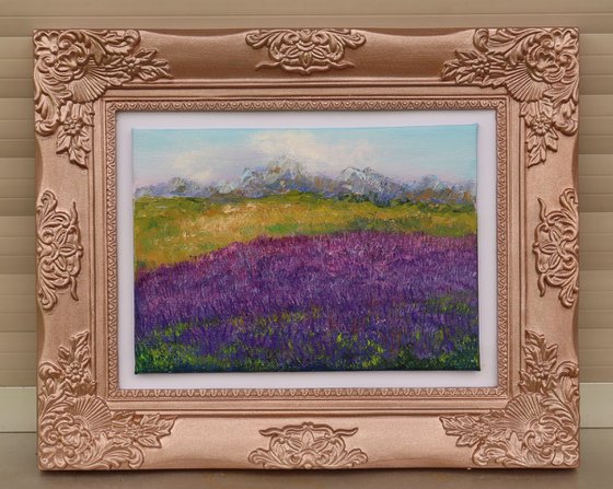 Lavender field framed