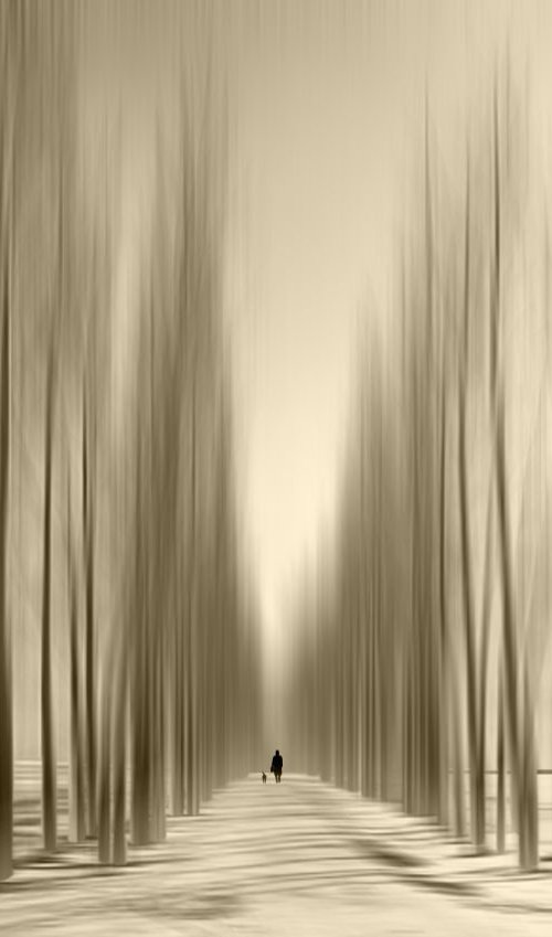 The row by Josh Adamski