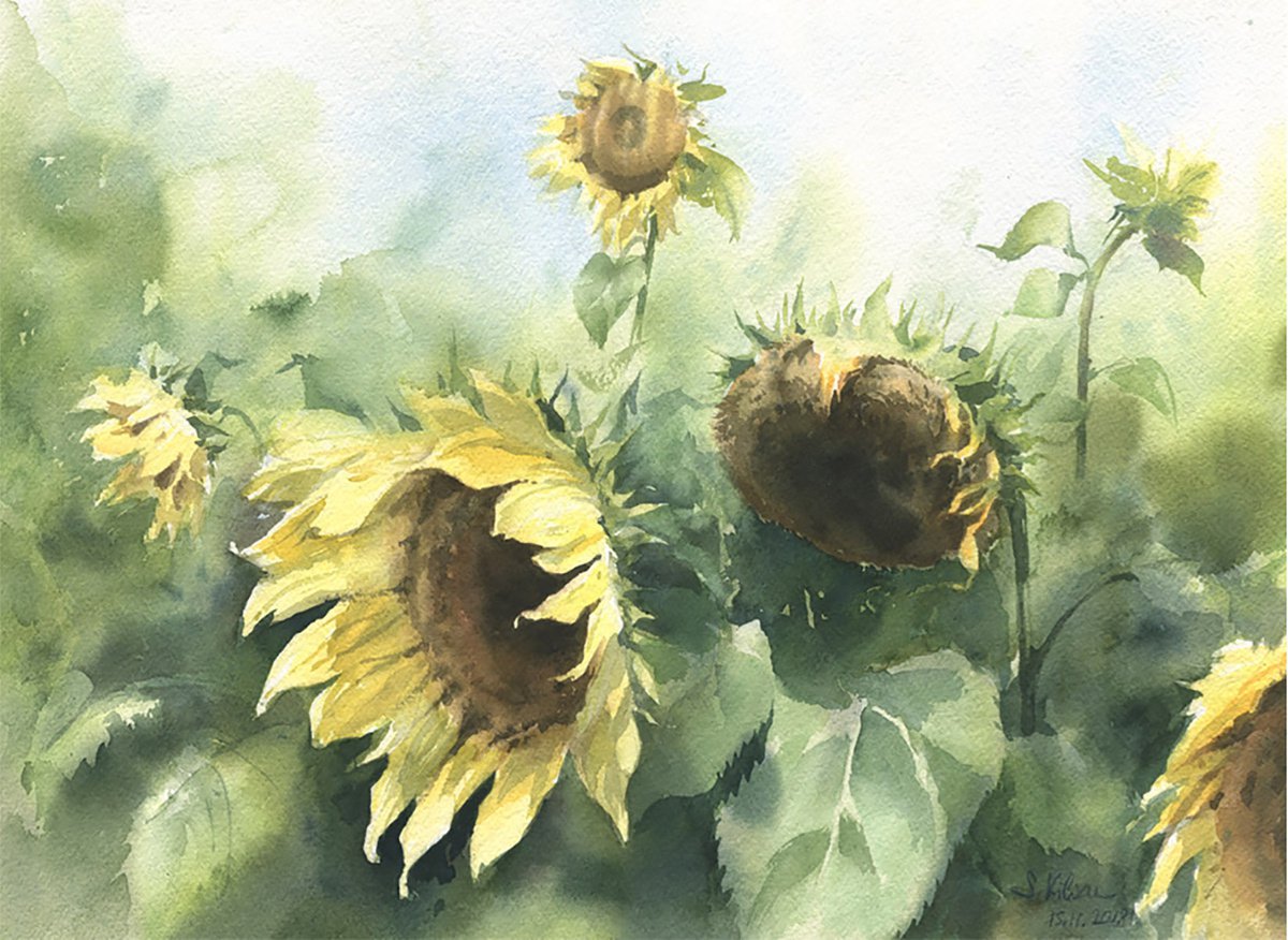Sunflower Field by Svetlana Kilian