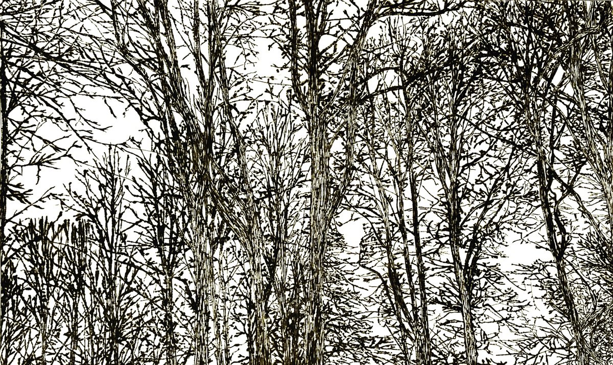 Impressionistic Landscape Etchings & Engravings By Michelle Hinshelwood, 31 X 21", All They Know, Original Artwork