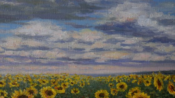 Sunflower Field - original landscape painting