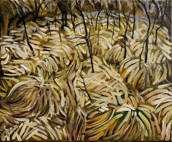 Dry Grasses