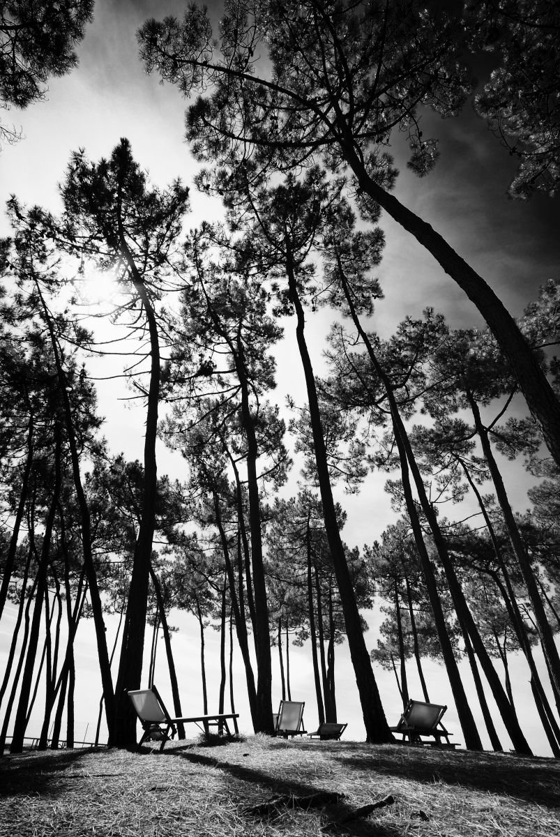 Photorealistic Photograph , Sit And Think By Christian Schwarz, 17 X 24, Artwork For Sale On Artfinder