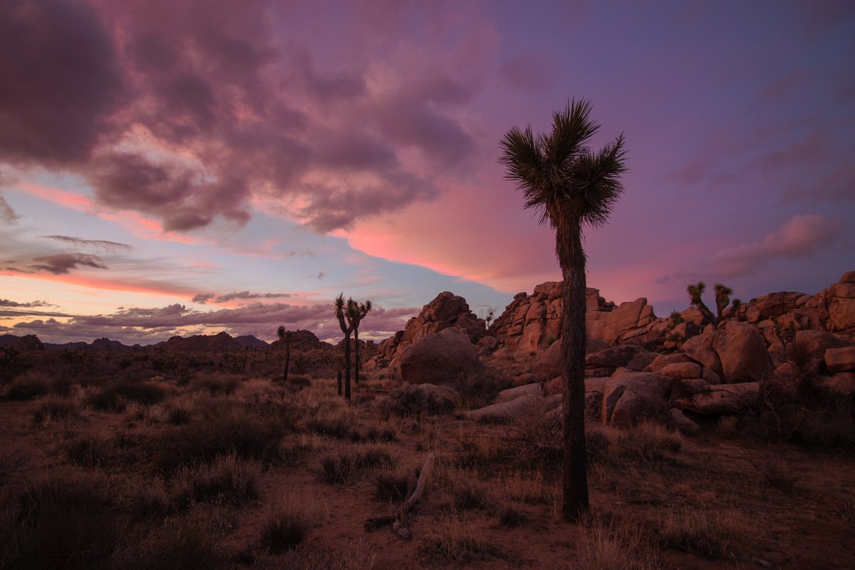 Winter Sunset in in the High Desert I by Mark Hannah