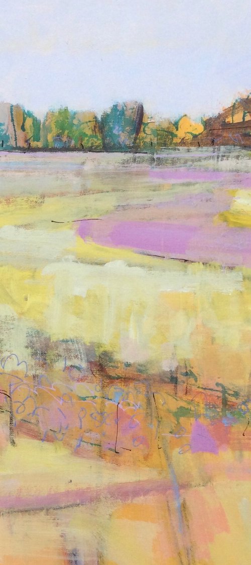 Meadow by Chrissie Havers