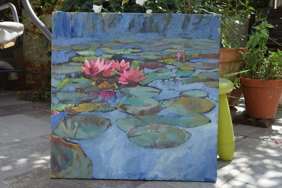 Water lilies