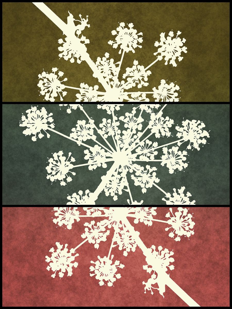 Abstract Botanical Giclee Print By Petr Strnad, 15 X 20", Format #108, Original Artwork