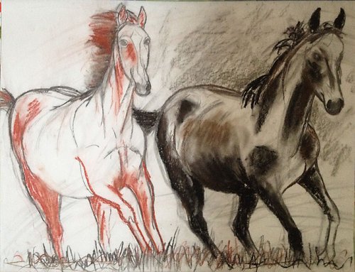 red and black horse by René Goorman