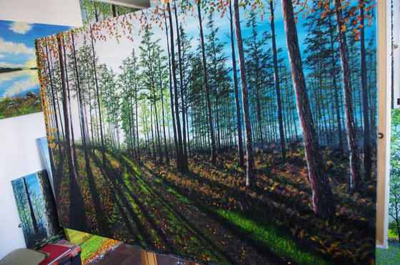 Startling Afternoon shadows.